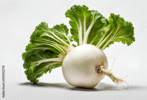 Fresh white turnip with green haulm isolated on a white transparent background, perfect for healthy food styling and ingredient photography photo