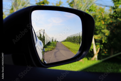 
A scenic road lined with orchard trees is visible through a car's side mirror, reflecting a sunny day with a clear sky. The image captures a peaceful rural landscape from the vehicle's perspective. photo