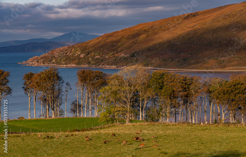 Applecross Travelling around the NC500 route in the North Coast of Scotland photo