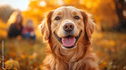 Portrait of Golden Retriever with Family in Autumn