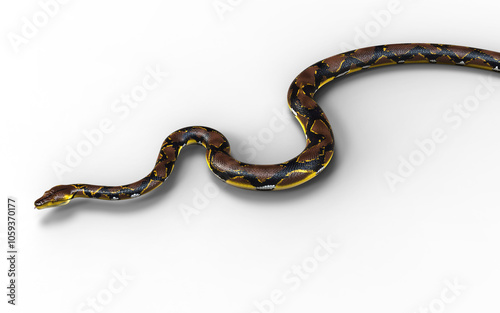 3d Illustration of A Golden Reticulated Python, Boa Constrictor The World's Biggest Snake Isolated Background.