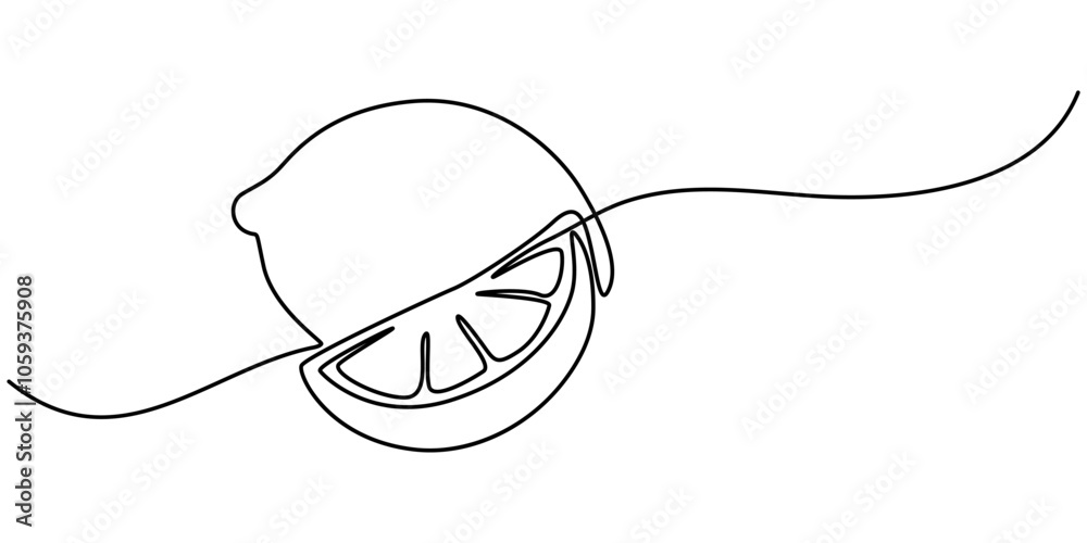 continuous line drawing of orange fruit isolated on transparent background. Vector illustration, Continuous single one line drawing of lemon lime fresh summer fruit vector illustration, Continuous one continuous line drawing of orange fruit isolated on transparent background. Vector illustration, Continuous single one line drawing of lemon lime fresh summer fruit vector illustration, Continuous one