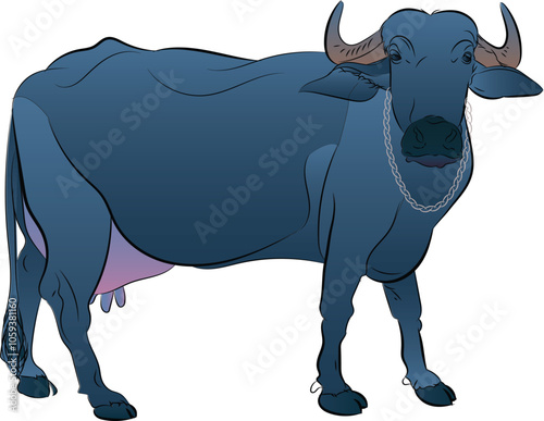 The water buffalo, also called the domestic water buffalo, the Asiatic water buffalo, originates in the Indian subcontinent and Southeast Asia.