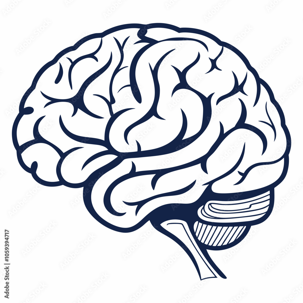 A detailed line drawing of the human brain, showcasing its intricate anatomy and complex structure. This medical illustration is perfect for educational purposes, scientific publications.