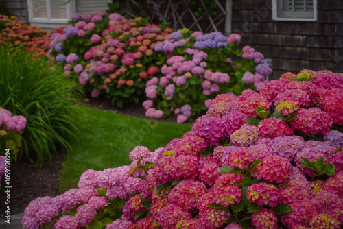 Wallpaper Mural Colorful flowers Torontodigital.ca
