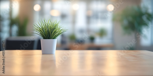 Minimalist Office Setup with Plant Decoration