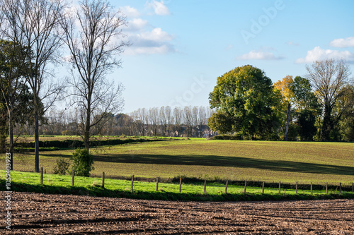 Colorful agriculture fields at the hills of the Flemish countryside during autumn, Lennik, Flemish Brabant Region, Belgium photo