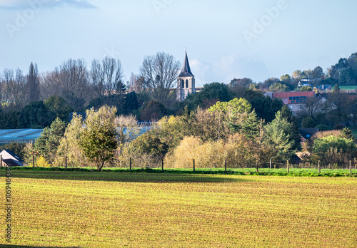 Colorful agriculture fields at the hills of the Flemish countryside during autumn, Lennik, Flemish Brabant Region, Belgium photo