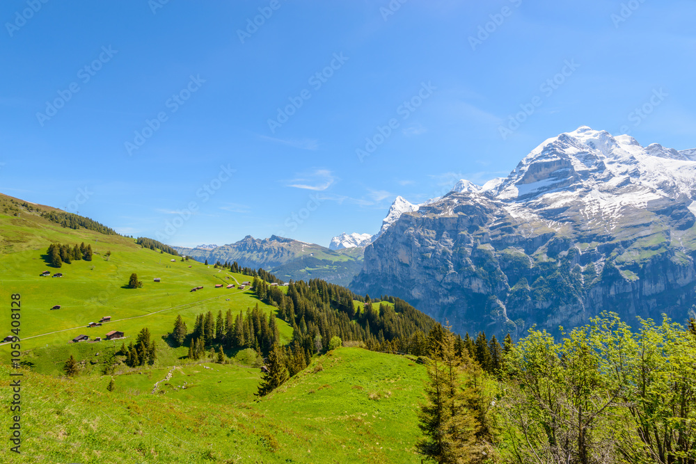 The Swiss Alps at Murren, Switzerland. Jungfrau Region. The valley of Lauterbrunnen from Interlaken. The Swiss Alps at Murren, Switzerland. Jungfrau Region. The valley of Lauterbrunnen from Interlaken.