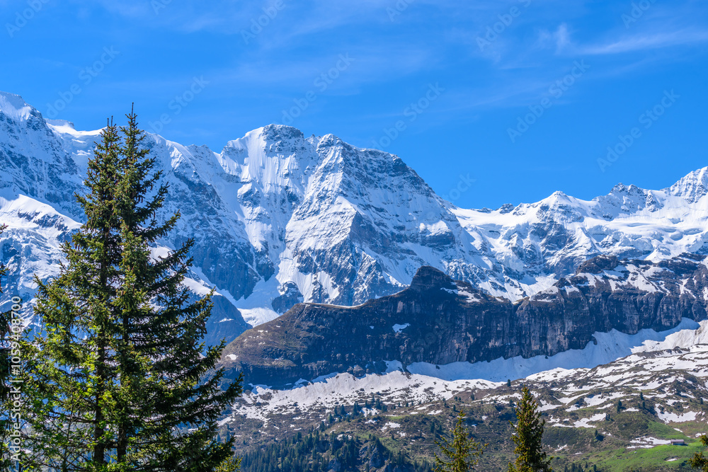 The Swiss Alps at Murren, Switzerland. Jungfrau Region. The valley of Lauterbrunnen from Interlaken. The Swiss Alps at Murren, Switzerland. Jungfrau Region. The valley of Lauterbrunnen from Interlaken.
