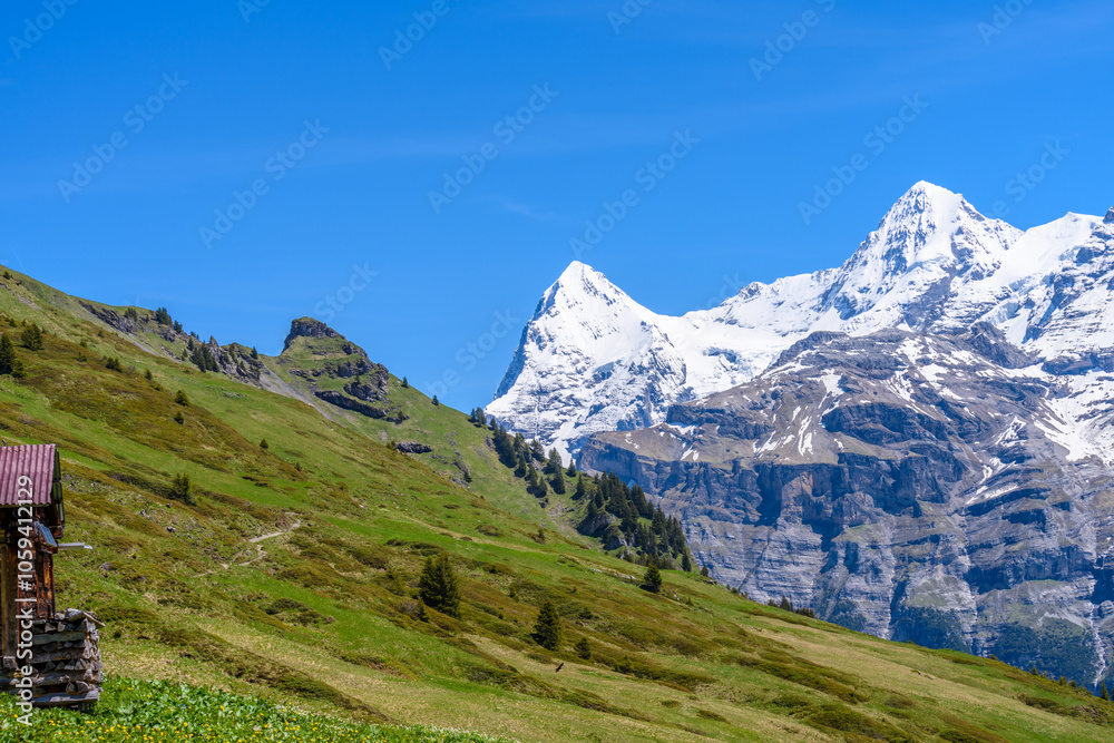 View of beautiful landscape in the Alps with fresh green meadows and snow-capped mountain tops in the background on a sunny day with blue sky and clouds in springtime. View of beautiful landscape in the Alps with fresh green meadows and snow-capped mountain tops in the background on a sunny day with blue sky and clouds in springtime.