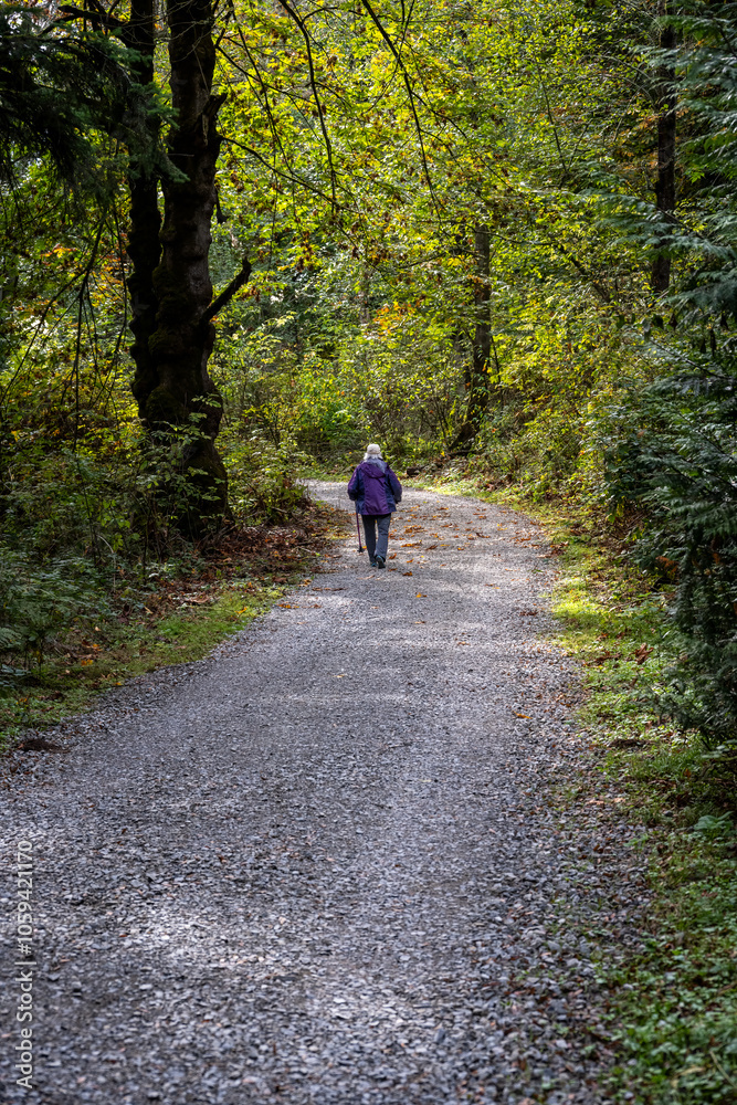 Fototapeta premium Senior woman with a walking stick getting fresh air on a gravel trail on a sunny fall day in the woods in Kirkland’s Watershed Park 