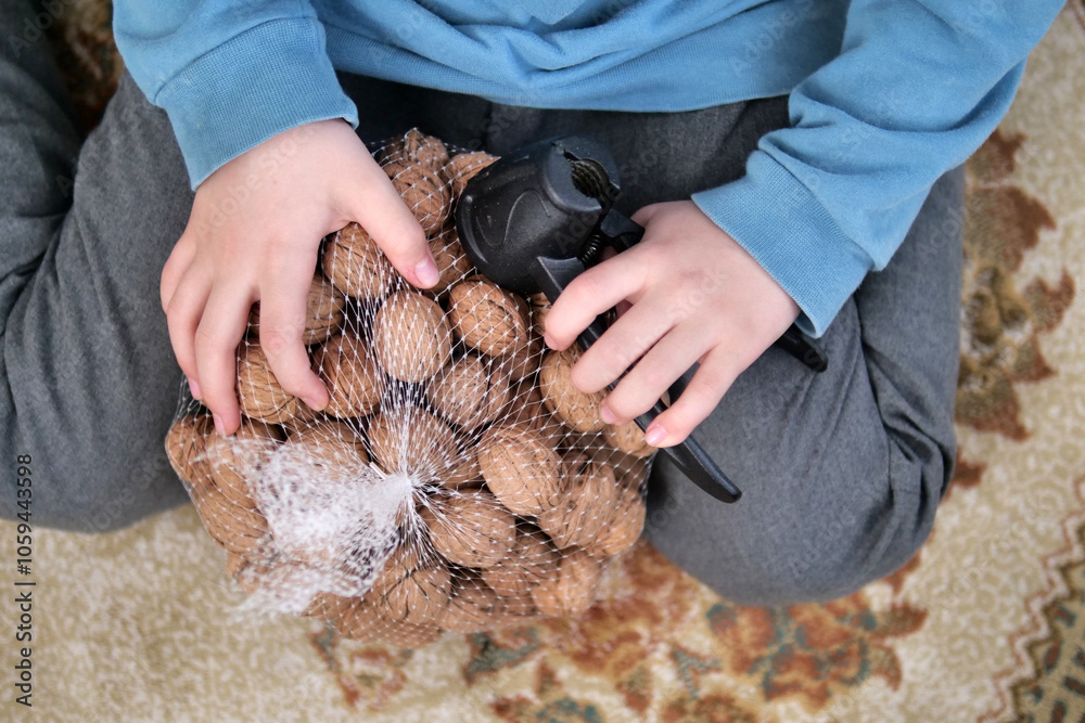 A net full of dry shelled walnuts and a walnut cracking device in the hands of a small child