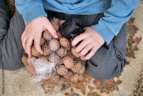 Obraz na płótnie A net full of dry shelled walnuts and a walnut cracking device in the hands of a small child w salonie