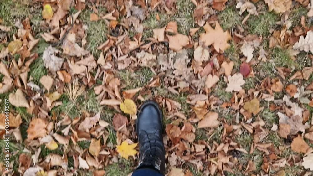 Legs walking on grass covered with yellow autumn leaves. Close-up of female legs in jeans and autumn boots. First-person view of the ground covered with fallen leaves. Walk in the park. Tourism Legs walking on grass covered with yellow autumn leaves. Close-up of female legs in jeans and autumn boots. First-person view of the ground covered with fallen leaves. Walk in the park. Tourism