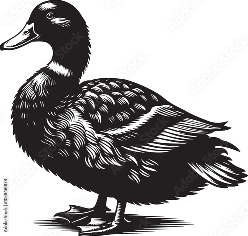 Black and White Image of a Duck: Graceful Simplicity in Monochrome photo