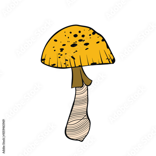 Set of mushrooms. Hand drawn vector illustration. Vegan food menu. Poisonous and edible mushroom. Autumn mushroom picking, forest plant sketches