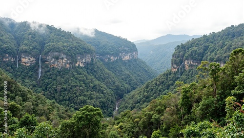 Tropical forest in Indian Western Ghats waterfalls mist overcast sky