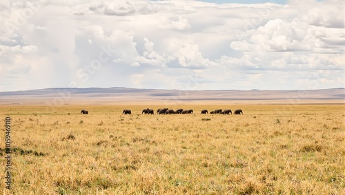 Majestic elephants roaming the golden Serengeti plains