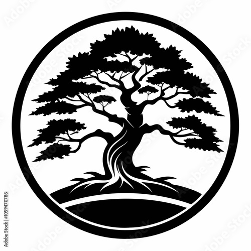 silhouette of a tree in a circle juniper tree black and white vector