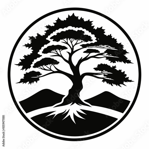 tree silhouette juniper tree black and white vector