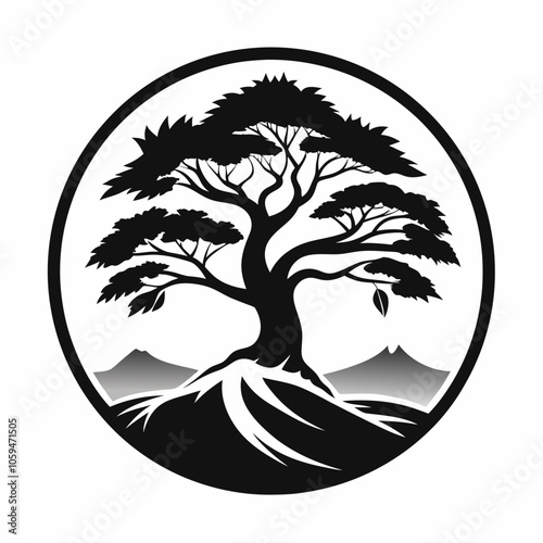 tree silhouette juniper tree black and white vector