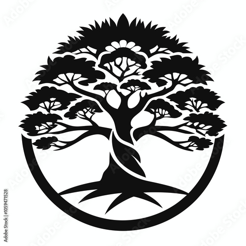 silhouette juniper tree black and white vector