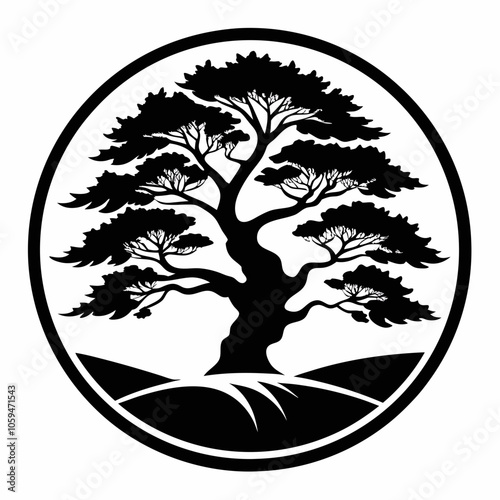 juniper tree black and white vector