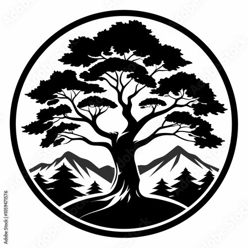 silhouette of tree juniper tree black and white vector