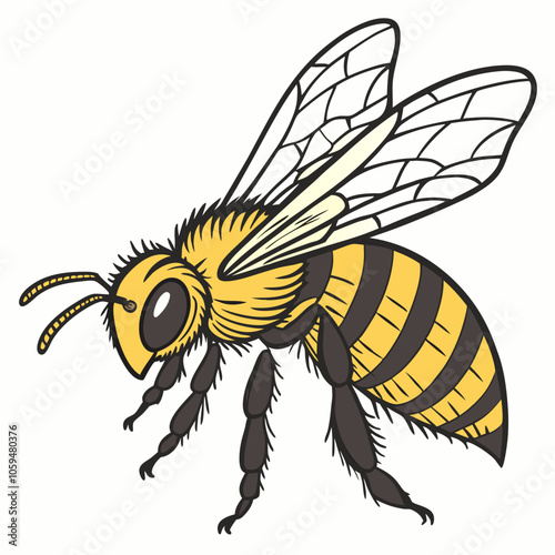 bee illustration