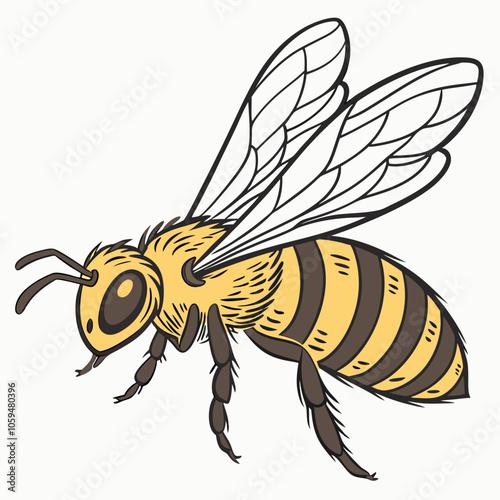 bee isolated on white