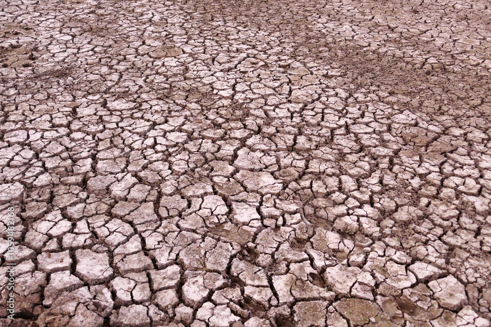 Drought caused by global warming is the decrease in water supply