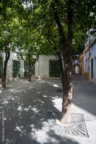 Walking in old part of Jerez de la Frontera, Sherry wine making town, Andalusia, Spain in summer, architectural details, Andalusian style photo