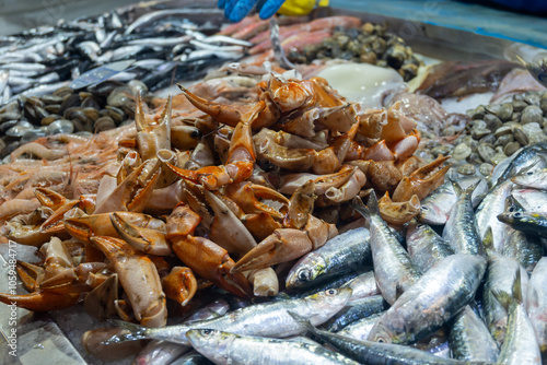 Assortment of fresh ocean daily catch of different Spanish crabs, molluscs, cuttlefish, on ice on fish market in Jerez de la Frontera, Andalusia, Spain photo