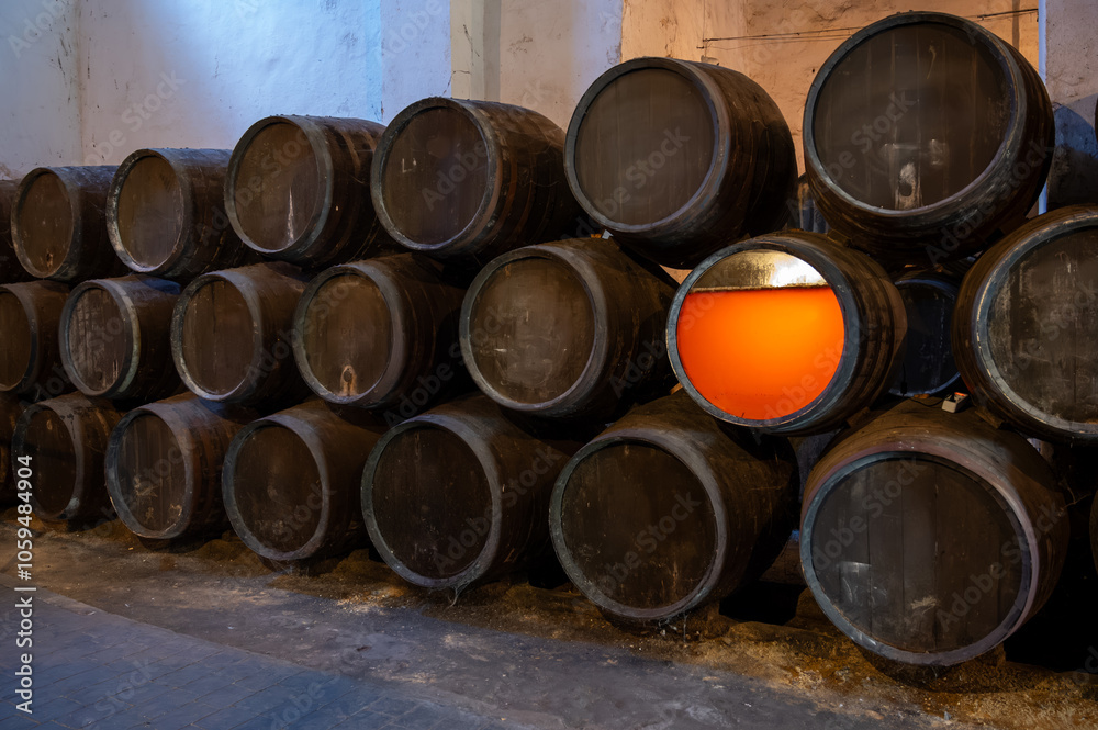 Flor, film of yeast in solera system in old Andalusian wine cellar, process for aging sherry wine in barrels, jerez fortified wine, Sanlucar de Barrameda, Cadiz, Andalusia, Spain Flor, film of yeast in solera system in old Andalusian wine cellar, process for aging sherry wine in barrels, jerez fortified wine, Sanlucar de Barrameda, Cadiz, Andalusia, Spain