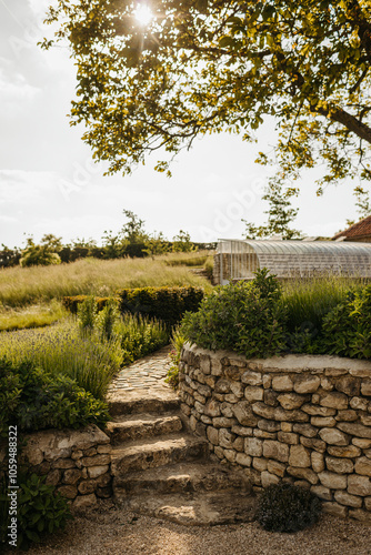 Stone steps in a lush garden setting photo