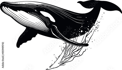 Whale Vector Black Silhouette Design For T-Shirt