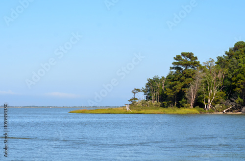 Pine tree island in Chesapeake Bay on a sunny day in summer