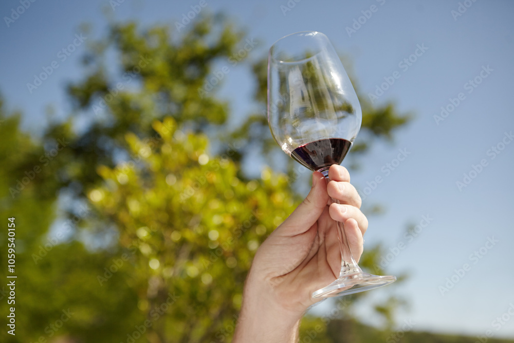 Obraz premium Hand, wine glass and nature with blue sky, outdoor and vineyard as adventure, travel and destination. Person, farm and alcohol drink in countryside for vacation, holiday and sustainability as tourist