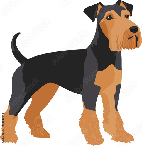 simple vector Airedale Terrier clipart