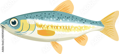 simple vector minnow clipart