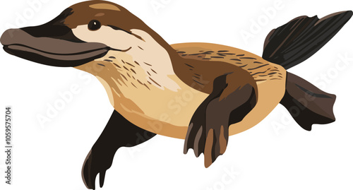 simple vector platypus clipart photo