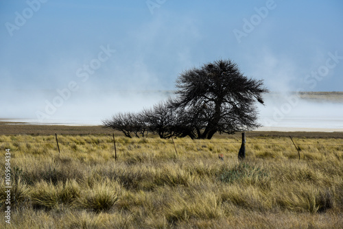 Strong wind blowing in a salt flat in La Pampa province, Patagonia, Argentina.