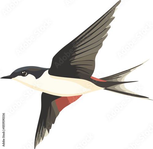 simple vector swift clipart