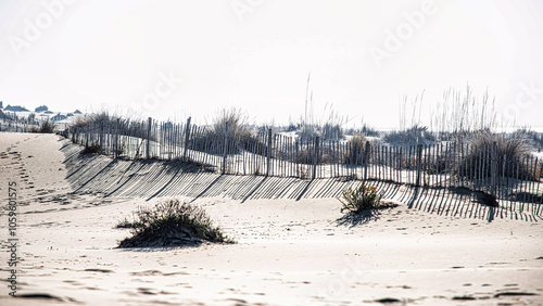 Seaside landscape with rolling sand dunes on the beach