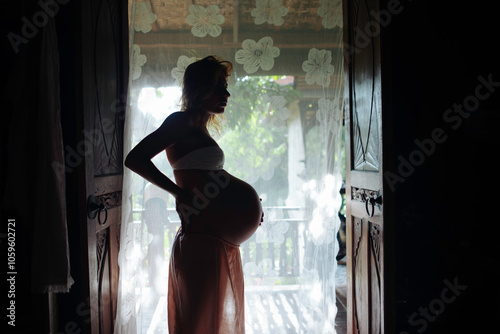 Silhouette of Expectant Mother by the Doorway photo