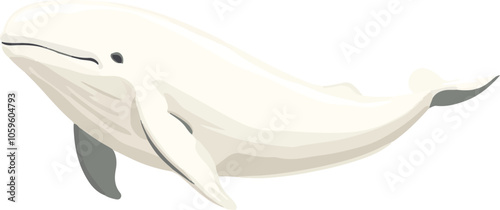 simple vector beluga whale clipart