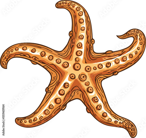 simple vector brittle star clipart