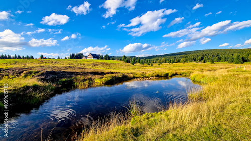 Peacefull landscape in the Jizerka settlement in Jizera Mountains. River reflecting the clear blue sky, surrounded by fields and distant houses on a sunny day in the summer.