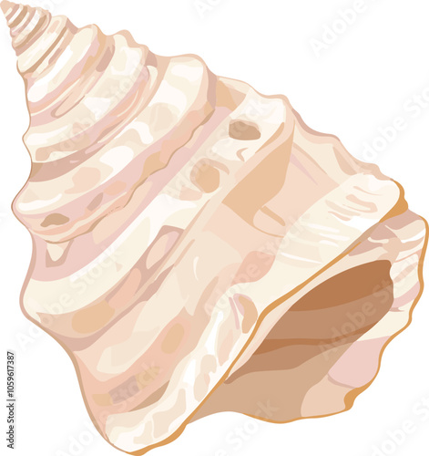 simple vector conch clipart